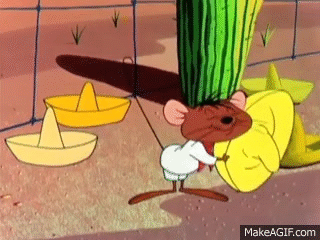 Image result for speedy gonzales gif