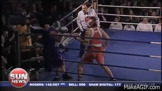 Justin Trudeau GIFS Boxing 