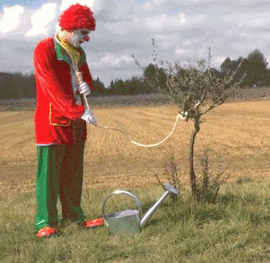 clown's noose attached to growing tree