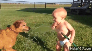 FUNNY DOGS & BABIES COLLECTION