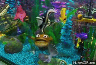 tank fish animated nemo finding escape giphy html5 compatible browser required makeagif