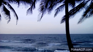 http://i.makeagif.com/media/8-10-2016/fRsTLa.gif