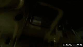 Tarantino: Trunk Shot HD