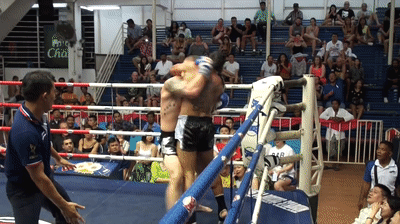 When you have a massive size advantage, you can get away with using brute force