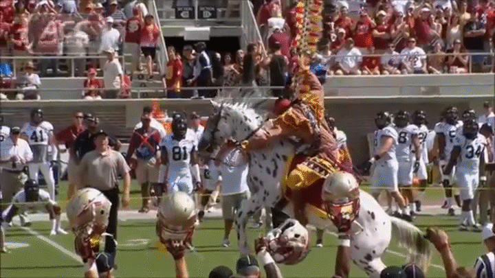 Image result for fsu renegade gif
