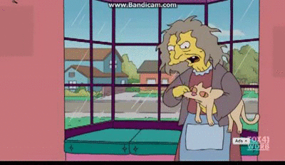 simpsons mad lady measuring cat on Make a GIF