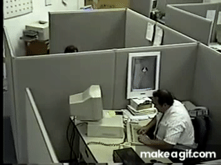 man destroys his keyboard and monitor on Make a GIF
