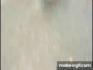 kids freaks out after eat the worlds hottest pepper on Make a GIF