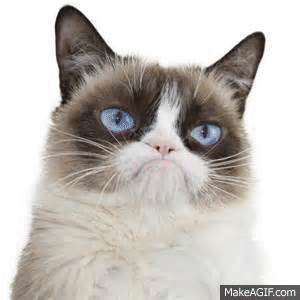 BEFORE a Friday and and after a Friday grumpy cat style on Make a GIF