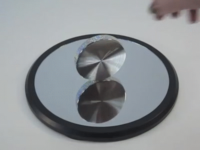 Eulers Disc 