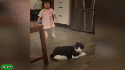 Blague Meilleurs Echecs Et Videos Droles Compilation 17 Essayez De Ne Pas Rire On Make A Gif