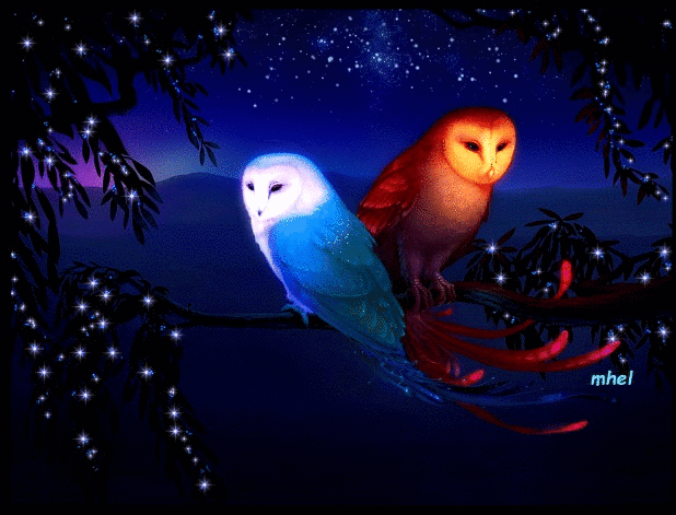 Night Owl Gif On Make A Gif
