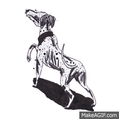 Ink Dalmatian on Make a GIF