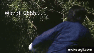 Kung Pow: Enter the Fist -- ...Then Surely Wimp-Lo! on Make a GIF