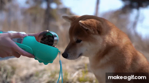 Pet multifunctional Outdoor Water Bottle on Make a GIF
