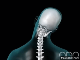 Neck Roll Gif Neck Roll Flexible Discover Share Gifs - vrogue.co