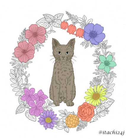 cat