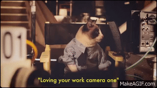 Best Coast Crazy For You Official Video On Make A Gif