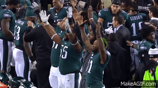 Eagles Skol chant on Make a GIF