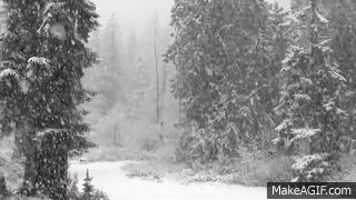 Fast Falling Snow 1080p Hd Without Music - 4 hours on Make a GIF