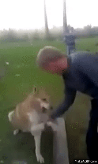 https://i.makeagif.com/media/1-23-2018/9VcHOA.gif