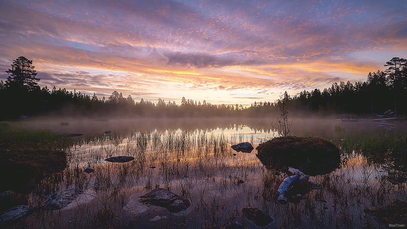 Туман гифка, америка