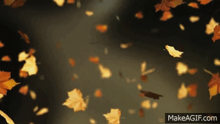 Resultado de imagem para gifs de outono