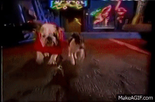 Kibbles N Bits 1988 Commercial on Make a GIF