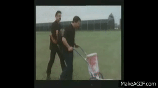 g_5cB9.gif