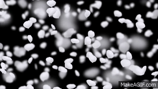 White Flower Petals Falling On Make A Gif