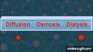Diffusion, Osmosis and Dialysis (IQOG-CSIC) on Make a GIF