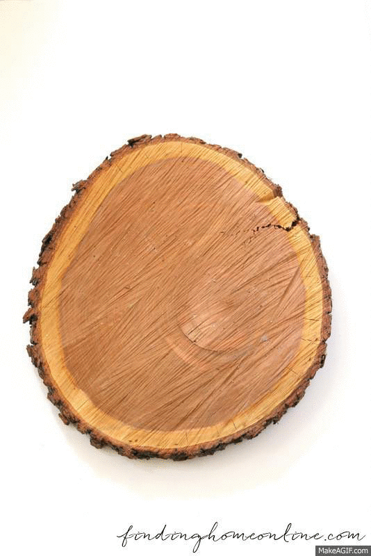 WoodOwl2 on Make a GIF