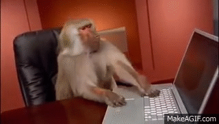 Affe wird aggressiv am PC // Monkey going crazy on Laptop on Make a GIF