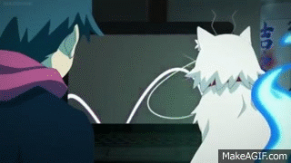Punchline Cat Porn Punchline Cat Porn