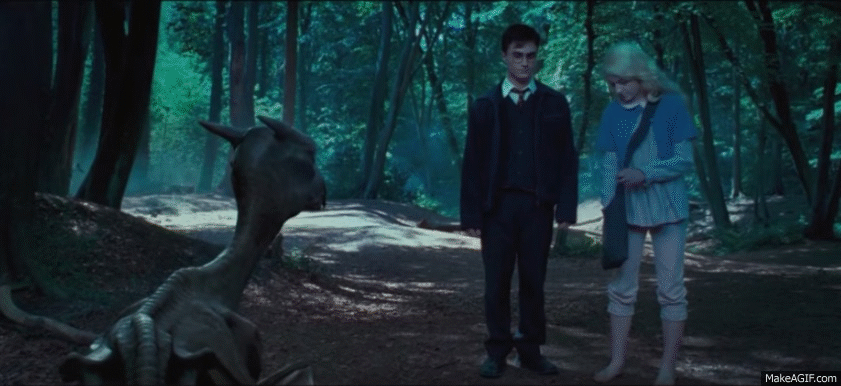 Harry Potter Luna Lovegood Thestral On Make A GIF harry-potter-luna-lovegood-thestral-on-make-a-gif