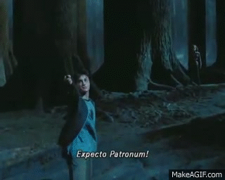Image result for expecto patronum gif