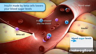 How insulin works on Make a GIF
