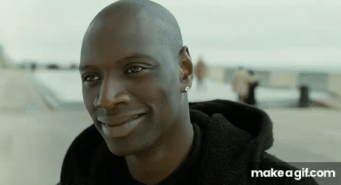 Неприкасаемые 1+1/Intouchables (2011) Финальная сцена. on Make a GIF