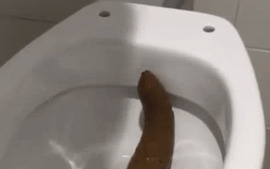My Biggest Turd Ever My Biggest Turd Ever