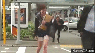 2011 11 21 3NEWS WELLINGTON WIND TOO STRONG FOR SOME RAW FOOTAGE