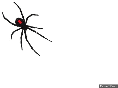 Black Widow Spider on Make a GIF