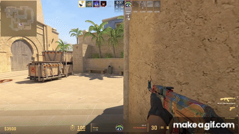 CS 2 Subtick on Make a GIF