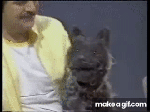 Spit the Dog on Make a GIF