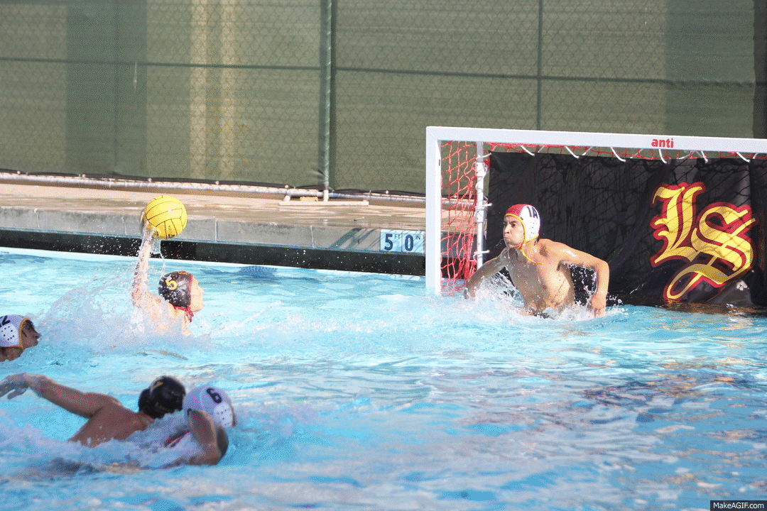 Featured image of post Animated Water Polo Gif We suggest you do exactly that