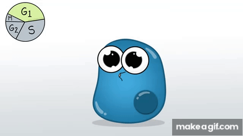 The Cell Cycle (and cancer) [Updated] on Make a GIF