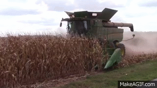 Corn Harvest 2015 Underway on Make a GIF