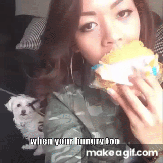 Top 200 Highlights of Animals - VERY FUNNY ANIMALS on Make a GIF