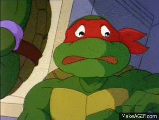 tmnt michelangelo meets mondo gecko