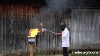https://i.makeagif.com/media/10-19-2023/-vQ7Vw.gif