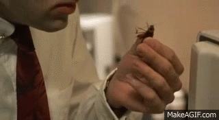 Nicolas Cage eating a cockroach in Vampire's Kiss actors
